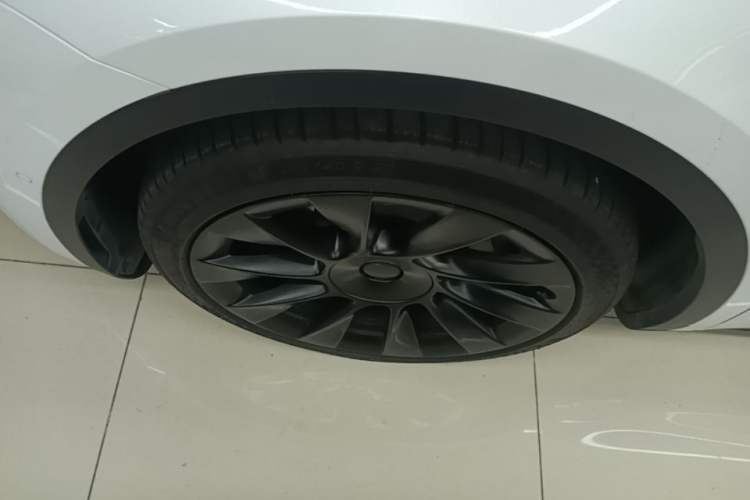Used Tesla Model Y 2021 Long-Range All-Wheel-Drive Version 3D7 Exterior 4