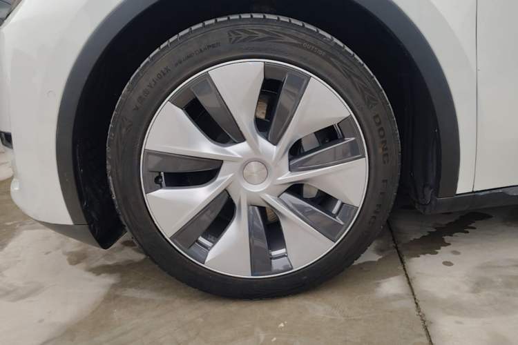 Used Tesla Model Y 2021 Standard Range Rear-Wheel Drive Version Exterior 4
