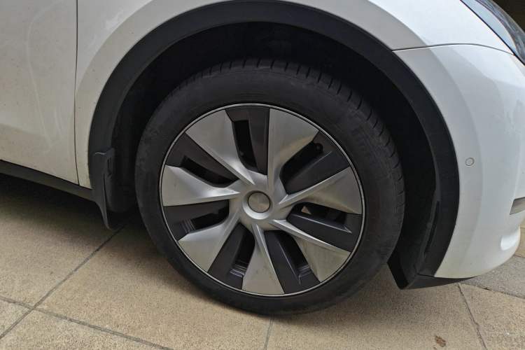 Used Tesla Model Y 2021 Standard Range Rear-Wheel Drive Version Exterior 4