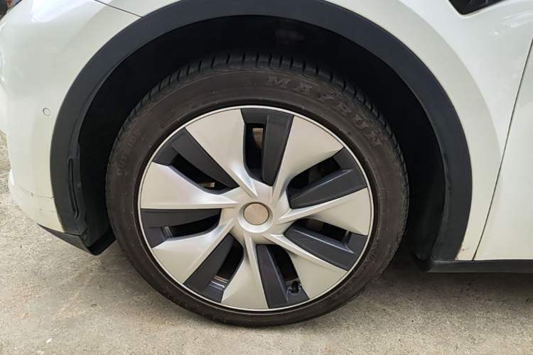 Used Tesla Model Y 2021 Standard Range Rear-Wheel Drive Version Exterior 4