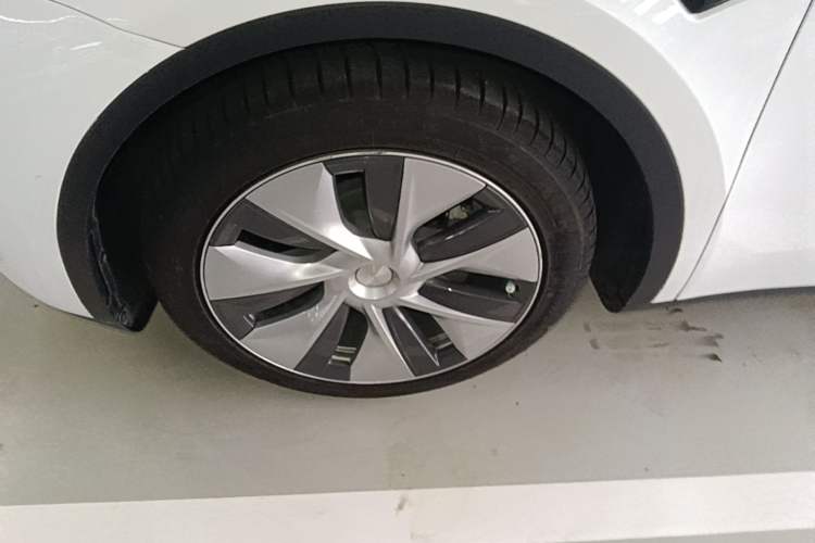 Used Tesla Model Y 2021 Standard Range Rear-Wheel Drive Version Exterior 4