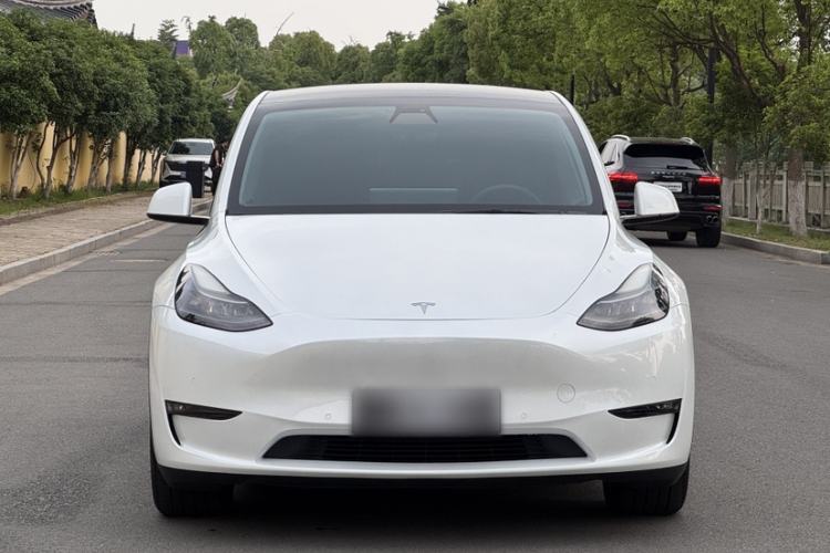 Used Tesla Model Y 2021 Long-Range All-Wheel-Drive Version Exterior 4