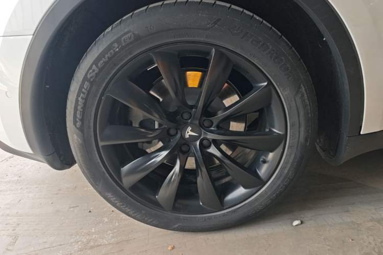 Used Tesla Model Y 2021 Standard Range Rear-Wheel Drive Version Exterior 5