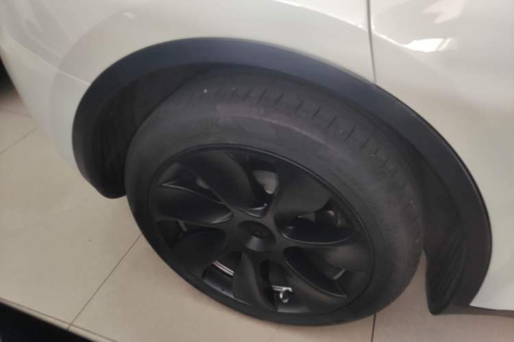 Used Tesla Model Y 2021 Standard Range Rear-Wheel Drive Version Exterior 5