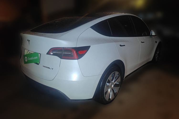 Used Tesla Model Y 2021 Standard Range Rear-Wheel Drive Version Exterior 5