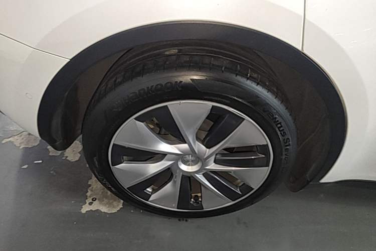 Used Tesla Model Y 2021 Standard Range Rear-Wheel Drive Version Exterior 5