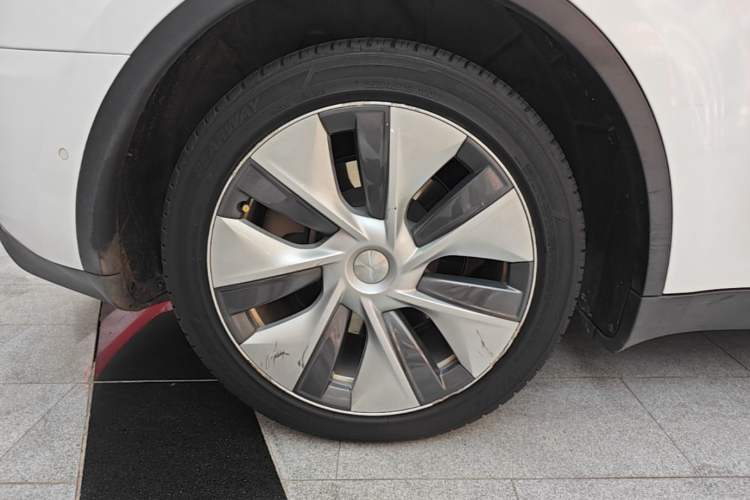 Used Tesla Model Y 2021 Standard Range Rear-Wheel Drive Version Exterior 5