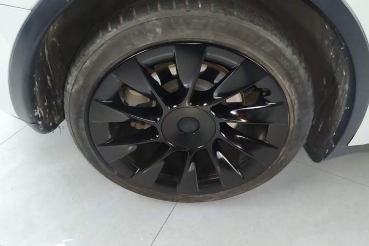Used Tesla Model Y 2021 Long-Range All-Wheel-Drive Version Exterior 5
