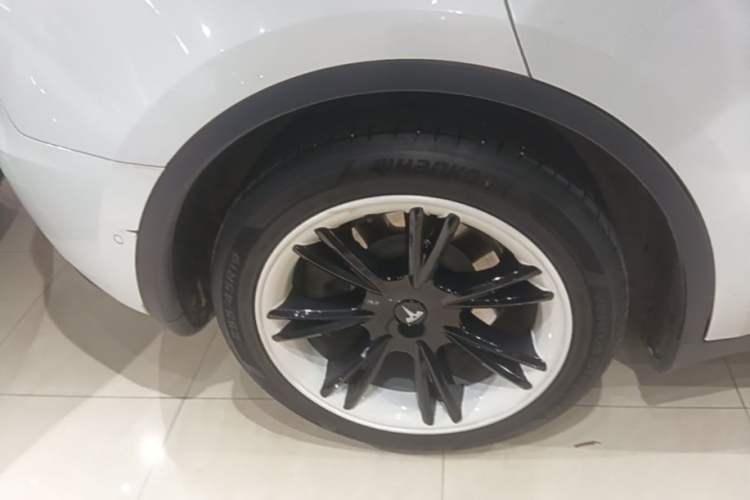 Used Tesla Model Y 2021 Standard Range Rear-Wheel Drive Version Exterior 5