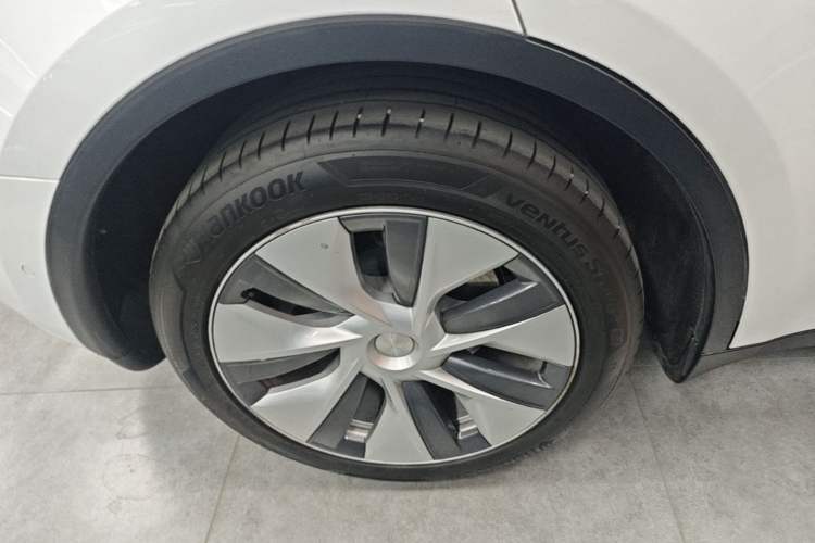 Used Tesla Model Y 2021 Standard Range Rear-Wheel Drive Version Exterior 5