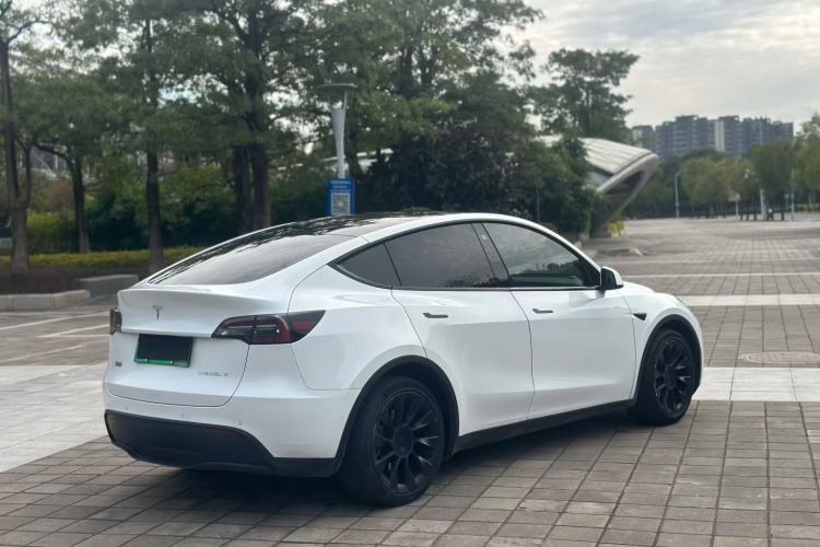 Used Tesla Model Y 2021 Long-Range All-Wheel-Drive Version Exterior 5