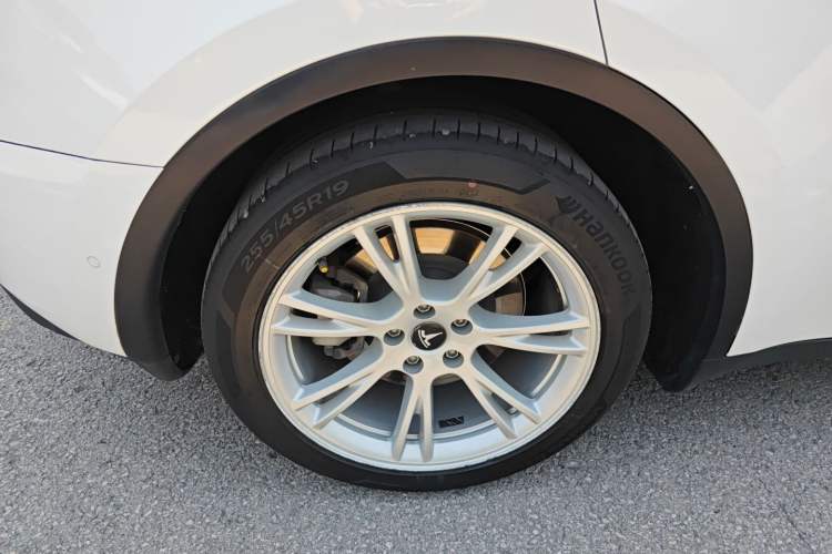 Used Tesla Model Y 2021 Long-Range All-Wheel-Drive Version Exterior 5