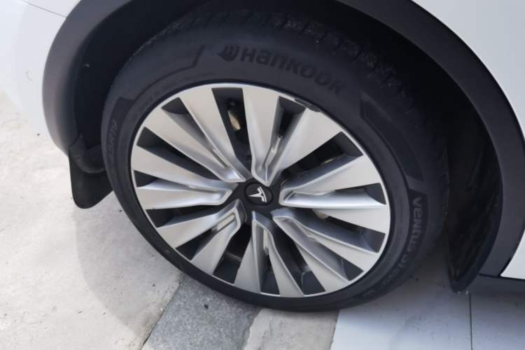 Used Tesla Model Y 2021 Standard Range Rear-Wheel Drive Version Exterior 5