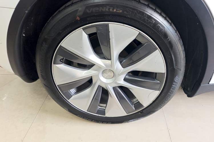 Used Tesla Model Y 2021 Standard Range Rear-Wheel Drive Version Exterior 5