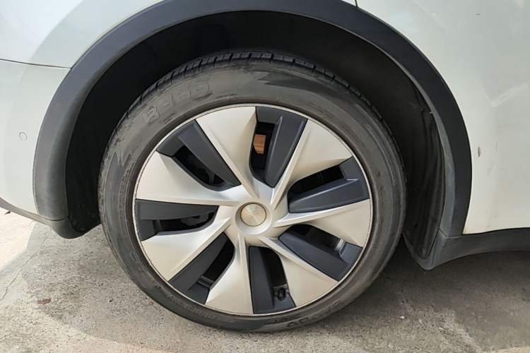 Used Tesla Model Y 2021 Standard Range Rear-Wheel Drive Version Exterior 5