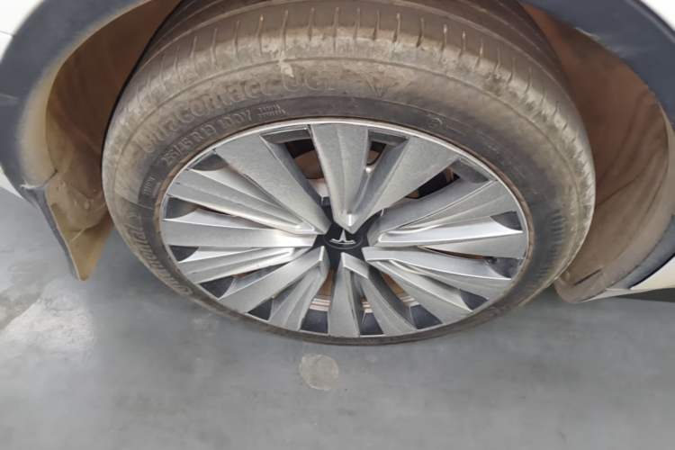 Used Tesla Model Y 2021 Standard Range Rear-Wheel Drive Version Exterior 5