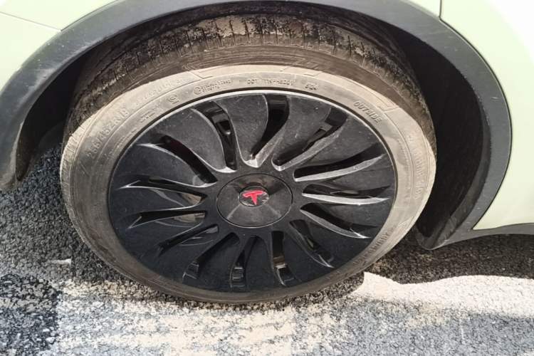 Used Tesla Model Y 2021 Long-Range All-Wheel-Drive Version 3D7 Exterior 5