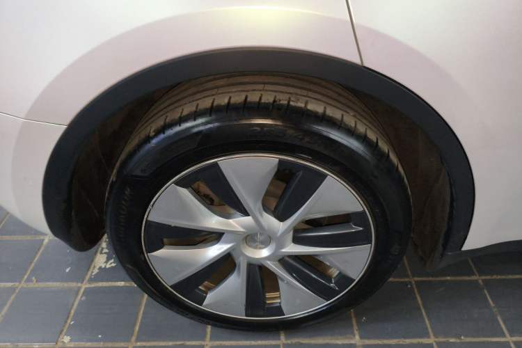 Used Tesla Model Y 2021 Standard Range Rear-Wheel Drive Version Exterior 5
