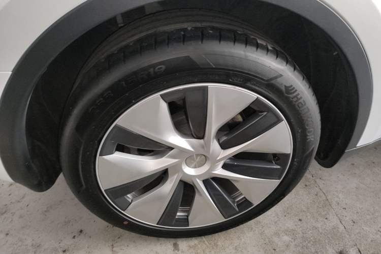 Used Tesla Model Y 2021 Long-Range All-Wheel-Drive Version 3D7 Exterior 5