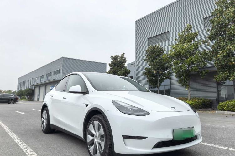 Used Tesla Model Y 2021 Revised Version 2 Long-Range All-Wheel-Drive Edition Exterior 5