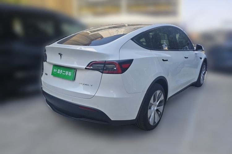 Used Tesla Model Y 2021 Standard Range Rear-Wheel Drive Version Exterior 5