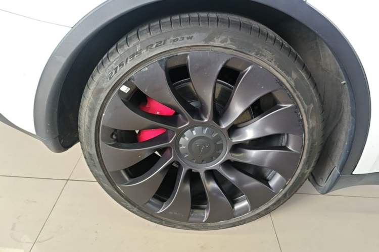 Used Tesla Model Y 2021 Performance High-Performance All-Wheel-Drive Version Exterior 5