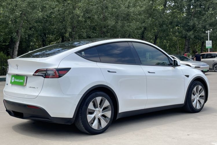 Used Tesla Model Y 2021 Standard Range Rear-Wheel Drive Version Exterior 5