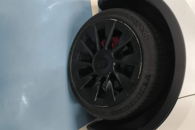 Used Tesla Model Y 2021 Standard Range Rear-Wheel Drive Version Exterior 5