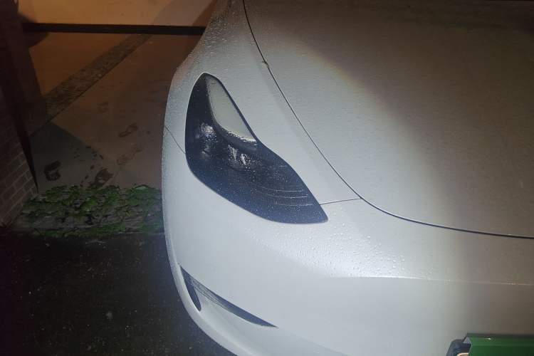Used Tesla Model Y 2021 Standard Range Rear-Wheel Drive Version Exterior 6