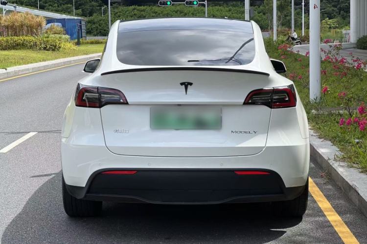 Used Tesla Model Y 2021 Long-Range All-Wheel-Drive Version 3D7 Exterior 6