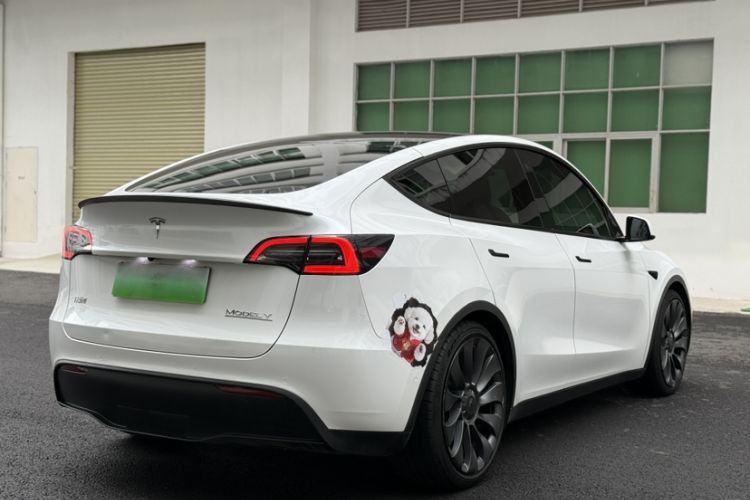 Used Tesla Model Y 2021 Performance High-Performance All-Wheel-Drive Version Exterior 6