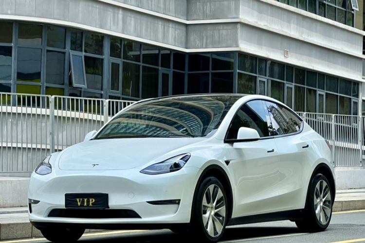 Used Tesla Model Y 2021 Standard Range Rear-Wheel Drive Version Exterior 6
