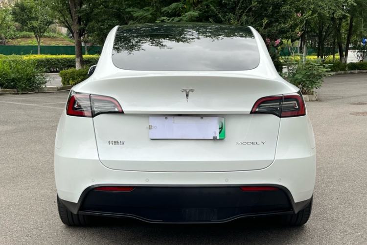 Used Tesla Model Y 2021 Long-Range All-Wheel-Drive Version Exterior 6