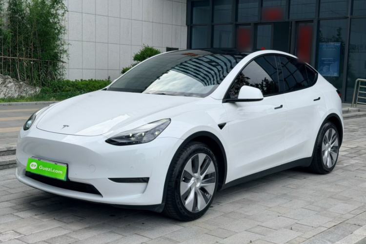 Used Tesla Model Y 2021 Standard Range Rear-Wheel Drive Version Exterior 6