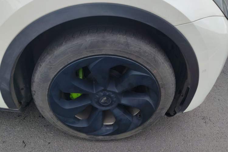 Used Tesla Model Y 2021 Standard Range Rear-Wheel Drive Version Exterior 7