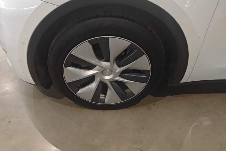 Used Tesla Model Y 2021 Standard Range Rear-Wheel Drive Version Exterior 7