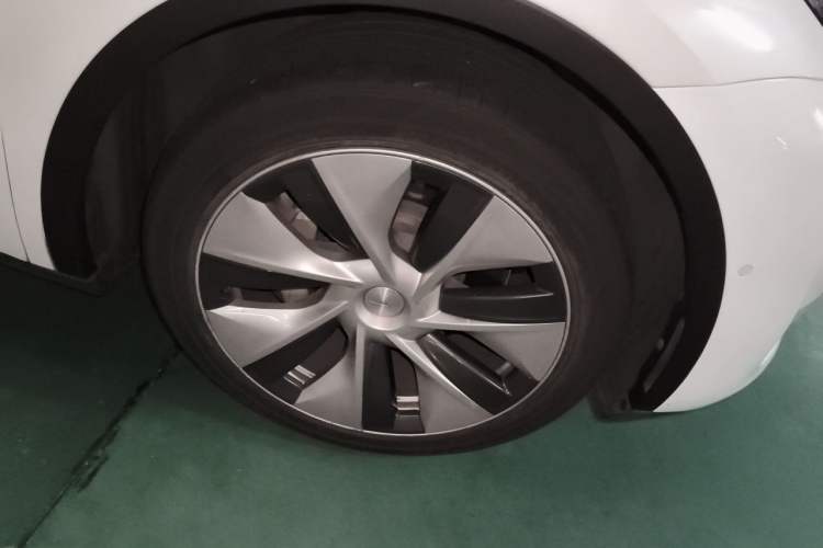 Used Tesla Model Y 2021 Standard Range Rear-Wheel Drive Version Exterior 7