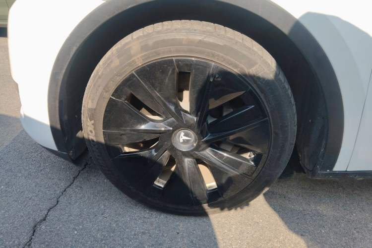 Used Tesla Model Y 2021 Standard Range Rear-Wheel Drive Version Exterior 7
