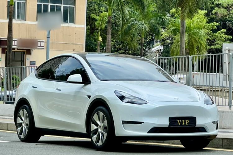Used Tesla Model Y 2021 Standard Range Rear-Wheel Drive Version Exterior 7