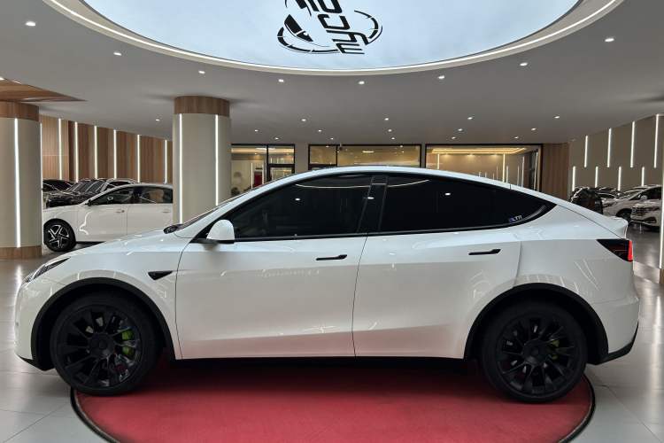 Used Tesla Model Y 2021 Revised Version 2 Long-Range All-Wheel-Drive Edition Exterior 7