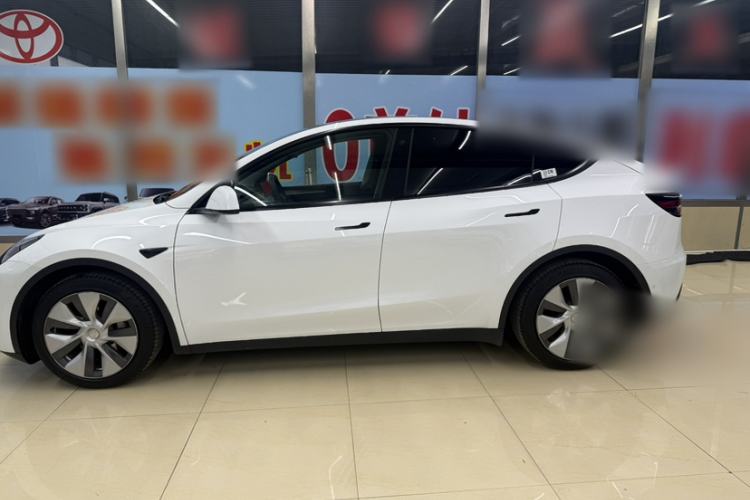 Used Tesla Model Y 2021 Standard Range Rear-Wheel Drive Version Exterior 7