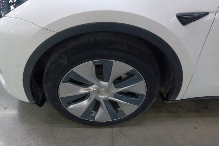 Used Tesla Model Y 2021 Standard Range Rear-Wheel Drive Version Exterior 7