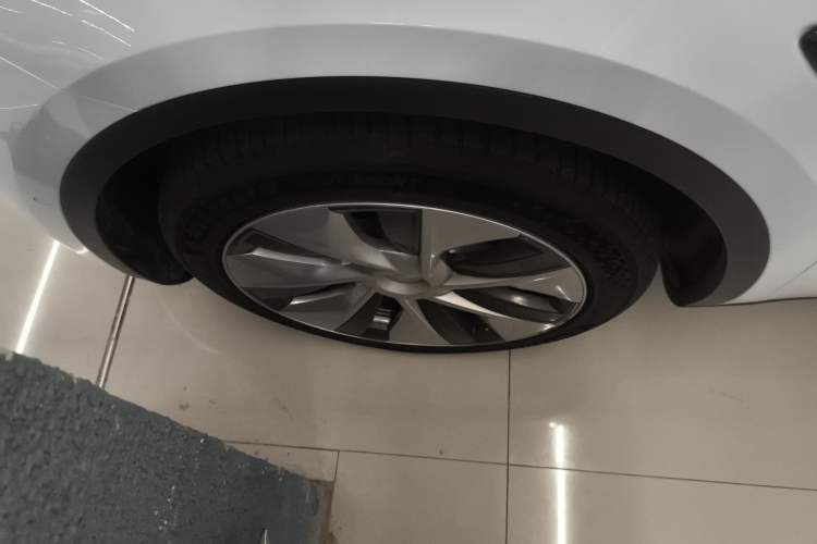 Used Tesla Model Y 2021 Revised Version 2 Long-Range All-Wheel-Drive Edition Exterior 7
