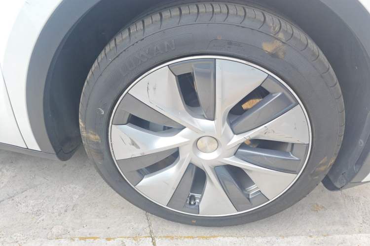 Used Tesla Model Y 2021 Standard Range Rear-Wheel Drive Version Exterior 7