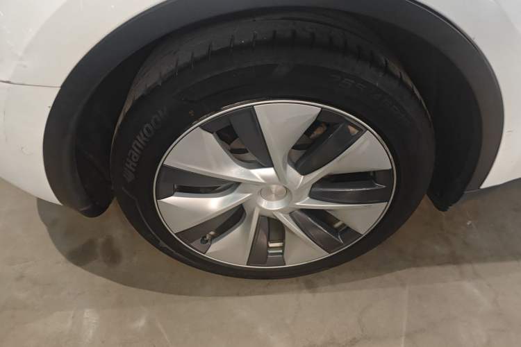 Used Tesla Model Y 2021 Standard Range Rear-Wheel Drive Version Exterior 8