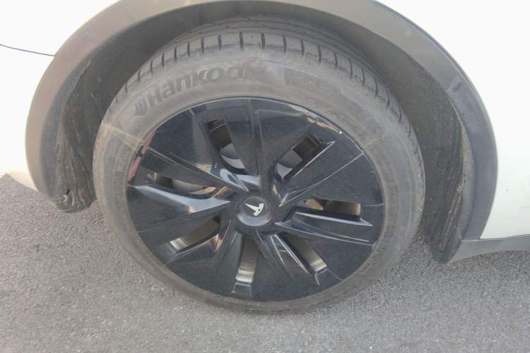 Used Tesla Model Y 2021 Standard Range Rear-Wheel Drive Version Exterior 8