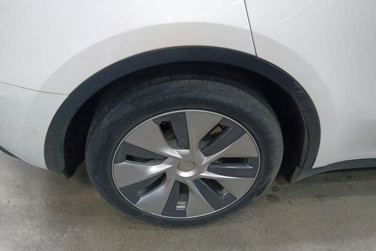 Used Tesla Model Y 2021 Standard Range Rear-Wheel Drive Version Exterior 8