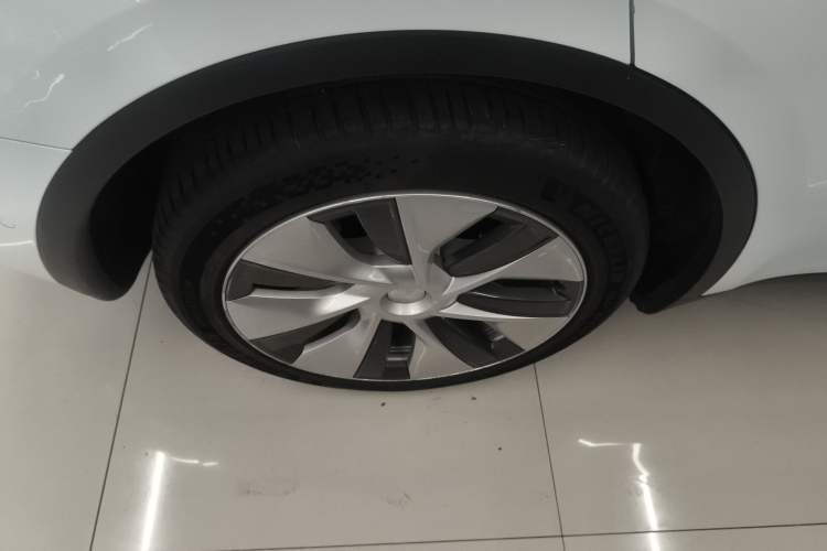 Used Tesla Model Y 2021 Revised Version 2 Long-Range All-Wheel-Drive Edition Exterior 8