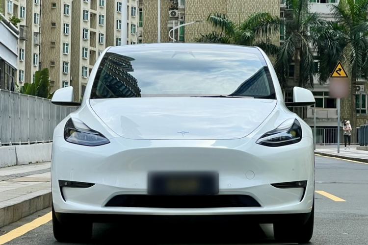 Used Tesla Model Y 2021 Standard Range Rear-Wheel Drive Version Exterior 9