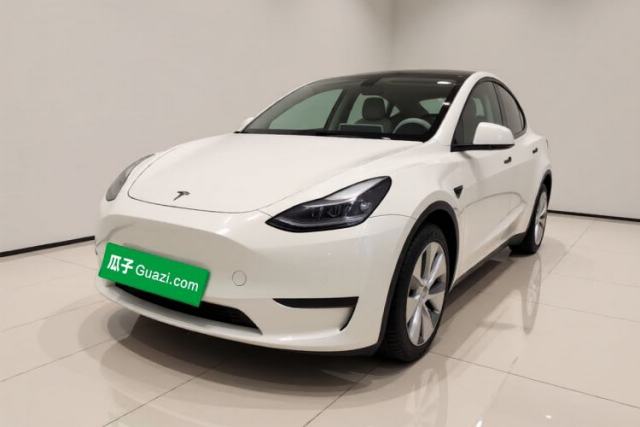 Used Tesla Model Y 2021 Standard Range Rear-Wheel Drive Version